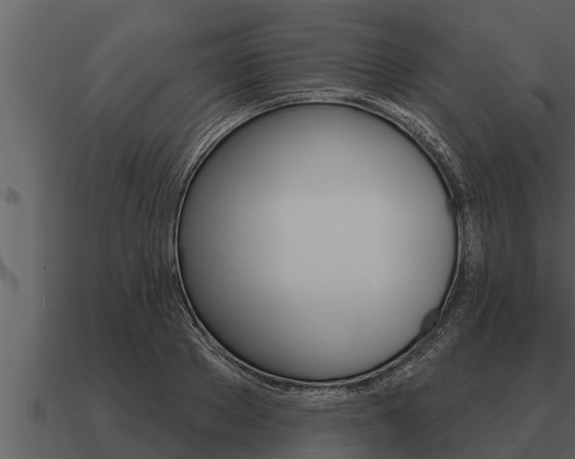 X0000091090889200708060956