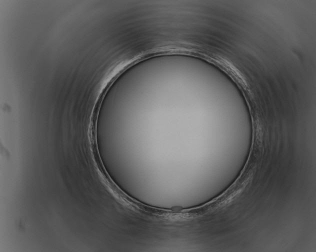 X0000091090893200708060956