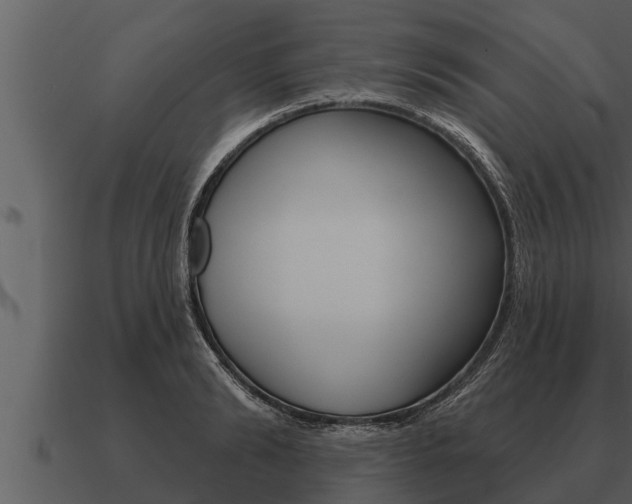 X0000091090894200708060956