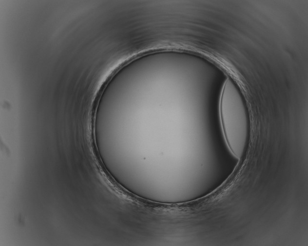 X0000091090896200708060956