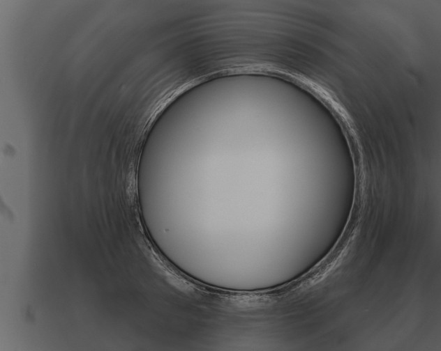 X0000091090897200708060956