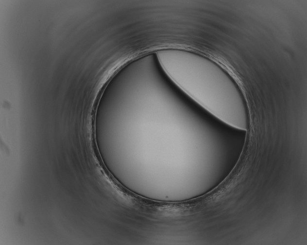 X0000091090898200708060956