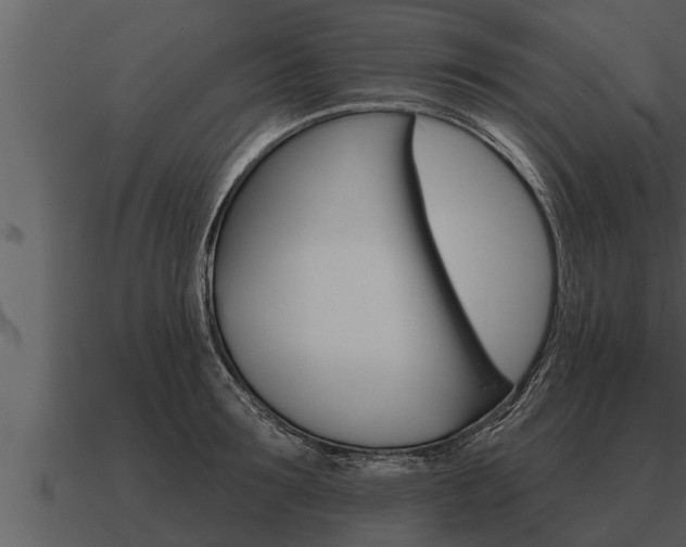 X0000091090899200708060956