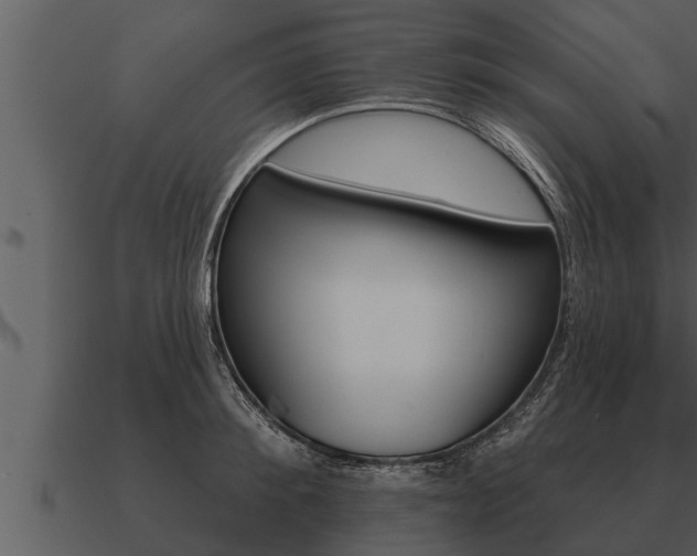 X0000091090900200708060956