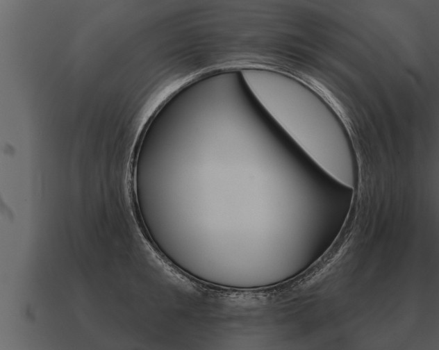 X0000091090901200708060956