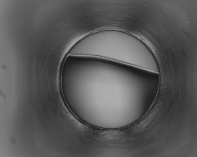 X0000091090902200708060956