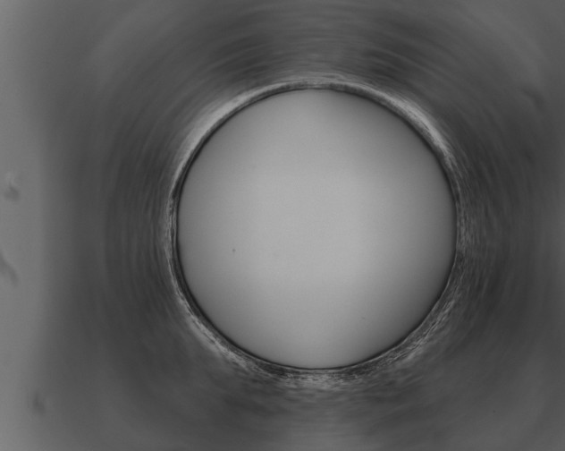 X0000091090903200708060956