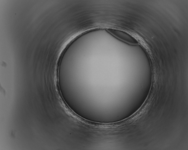 X0000091090904200708060956
