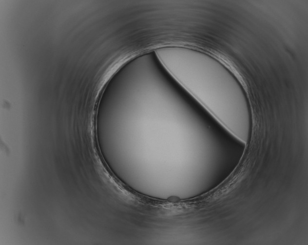 X0000091090906200708060956