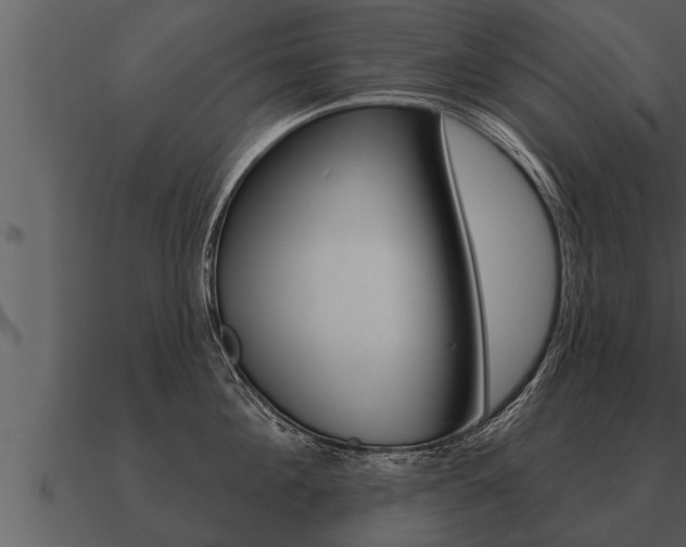 X0000091090908200708060956