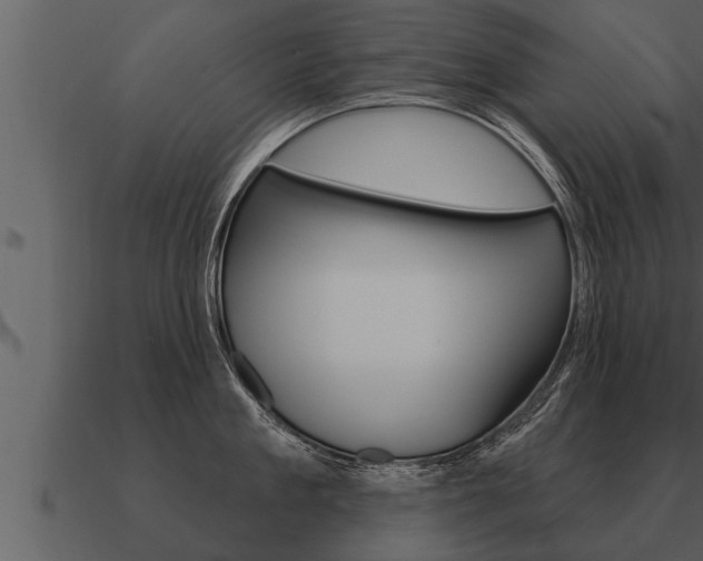 X0000091090909200708060956