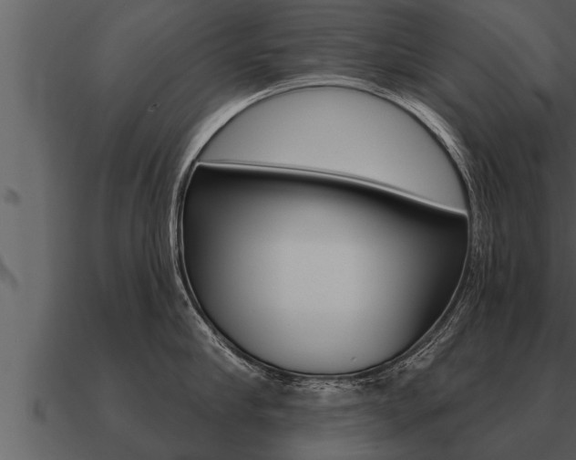 X0000091090910200708060956