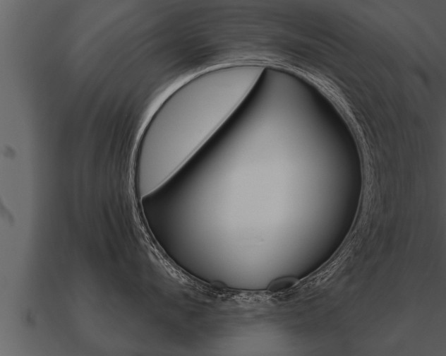 X0000091090912200708060956