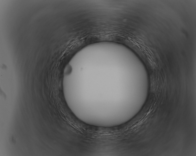 X0000091090913200708060955