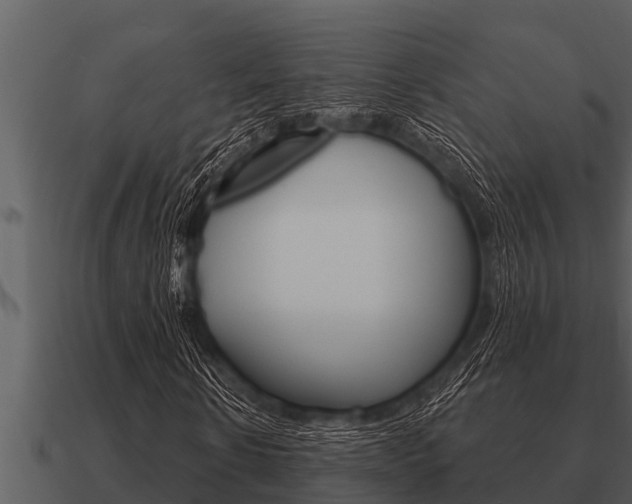 X0000091090914200708060955