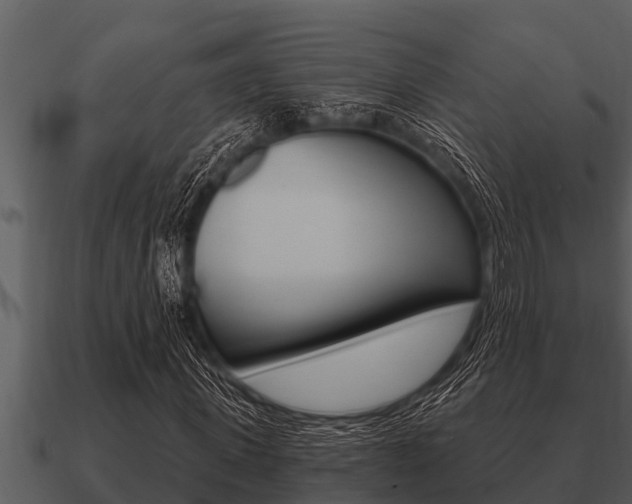X0000091090915200708060955