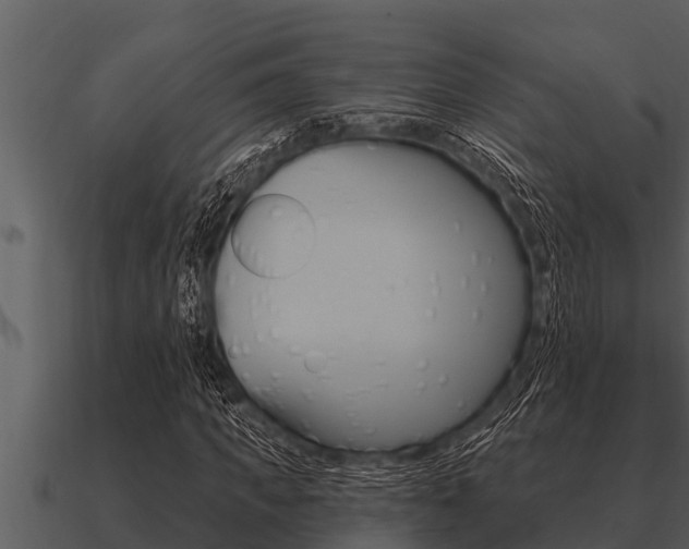 X0000091090917200708060955