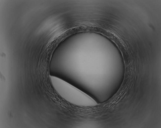 X0000091090919200708060956