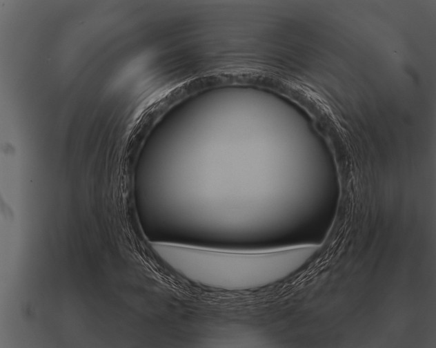 X0000091090920200708060956