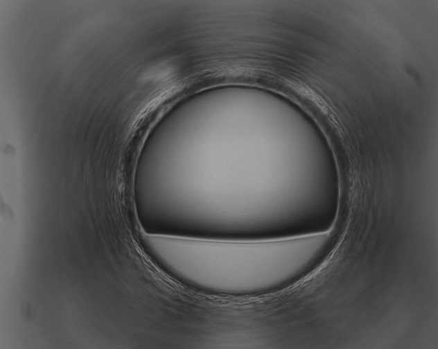 X0000091090922200708060956