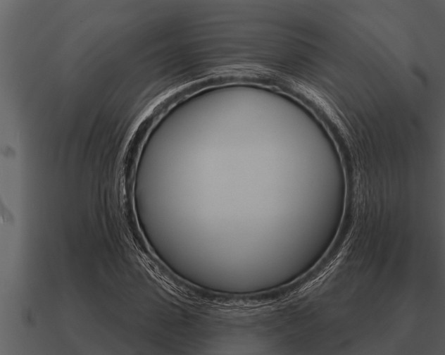 X0000091090923200708060956