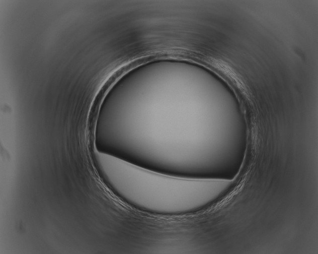 X0000091090924200708060956