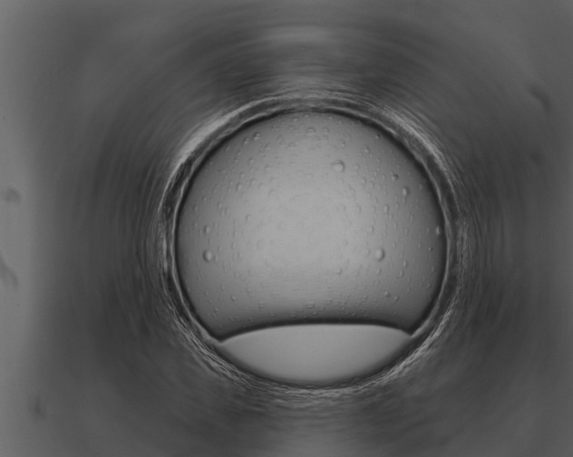 X0000091090925200708060956