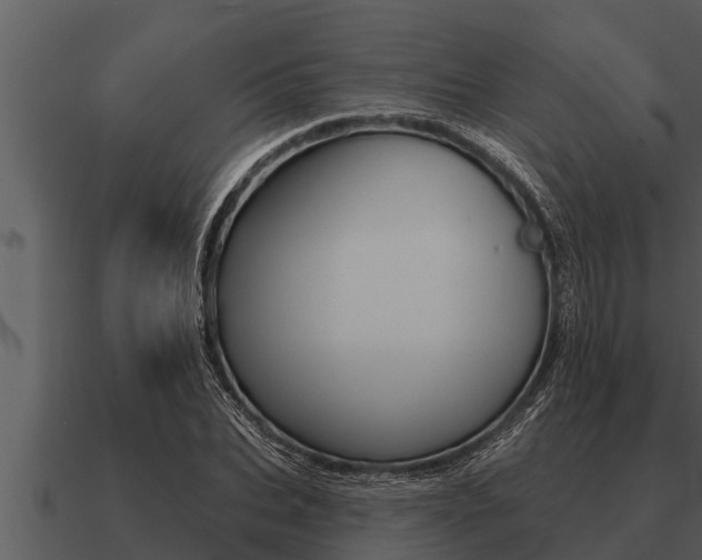 X0000091090927200708060956