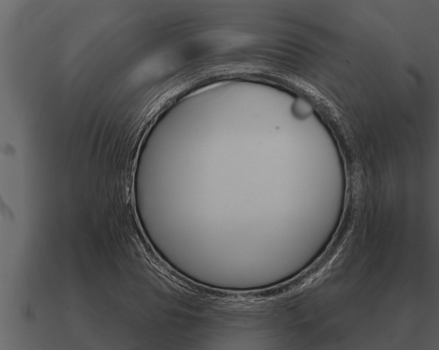 X0000091090929200708060956