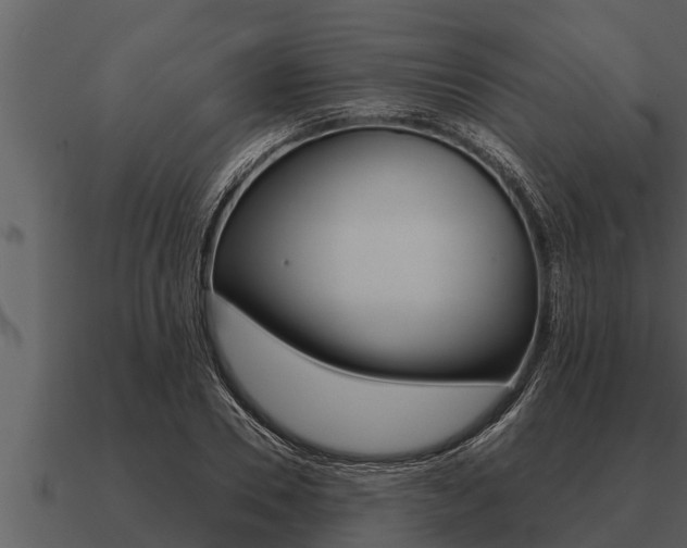 X0000091090930200708060956
