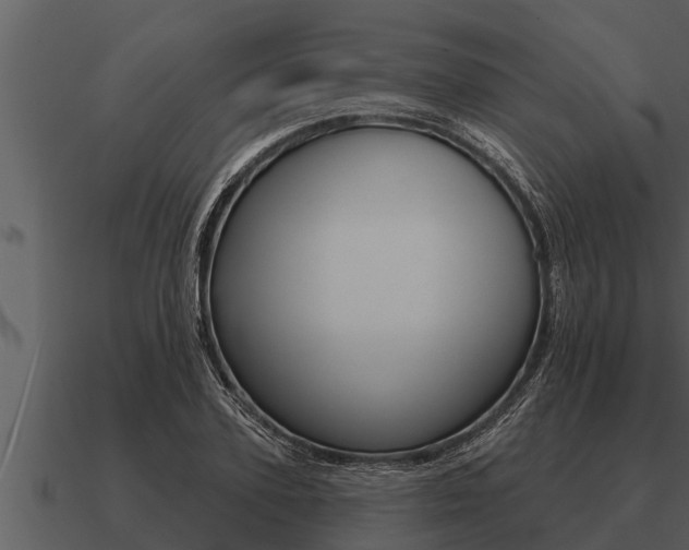 X0000091090931200708060956