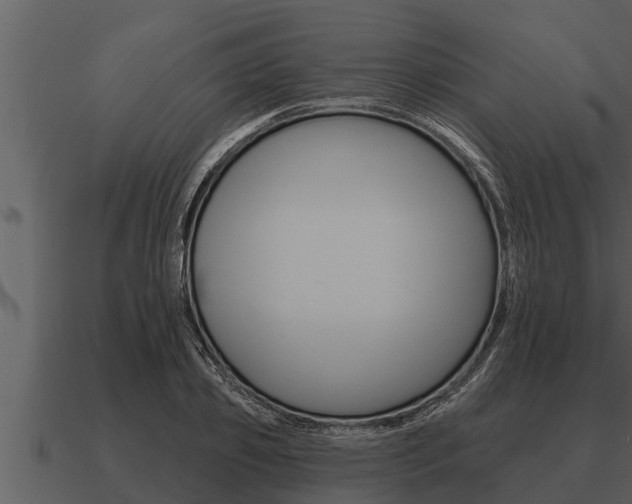 X0000091090933200708060956