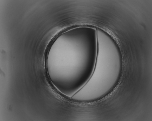 X0000091090934200708060956
