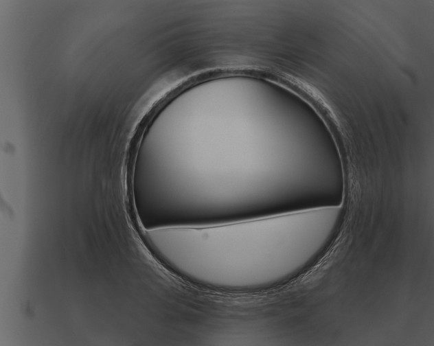 X0000091090935200708060956
