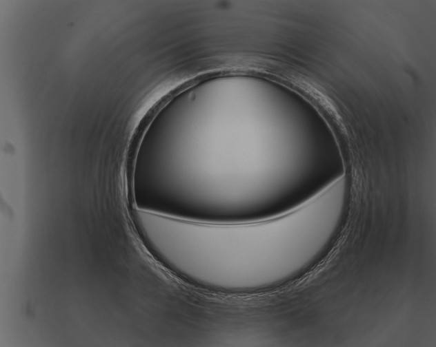 X0000091090936200708060956
