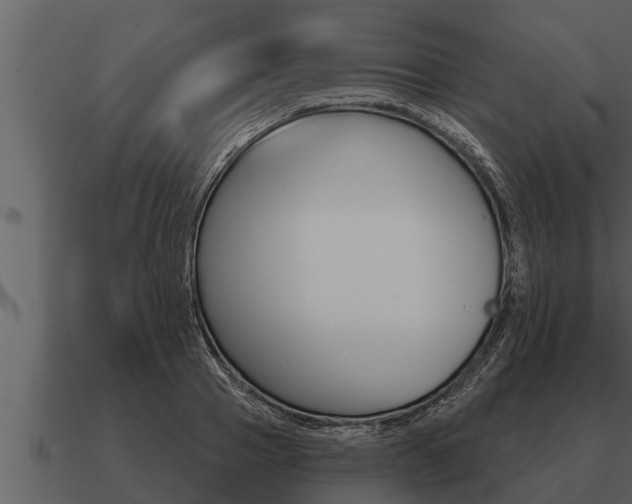 X0000091090937200708060956