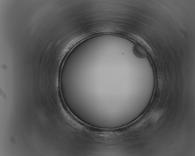 X0000091090938200708060956