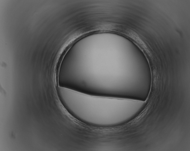 X0000091090939200708060956