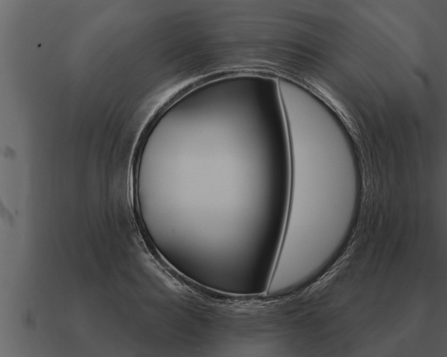 X0000091090940200708060956