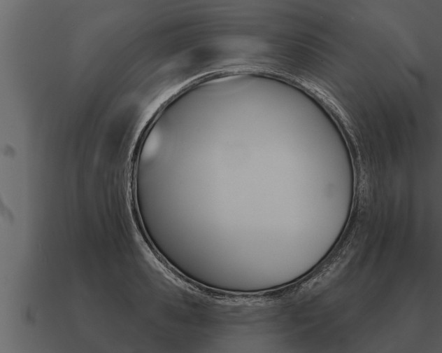 X0000091090941200708060956