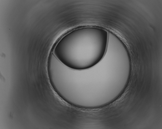 X0000091090942200708060956