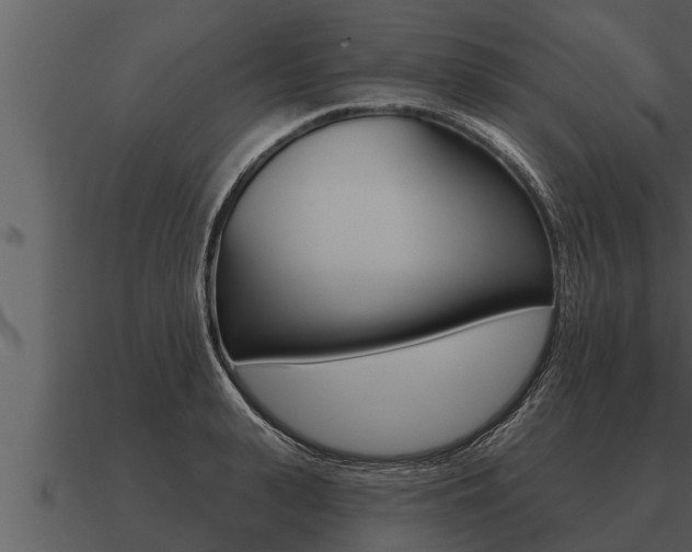 X0000091090943200708060956
