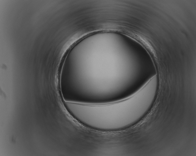 X0000091090944200708060956