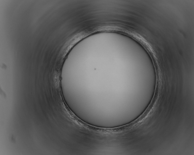 X0000091090945200708060956