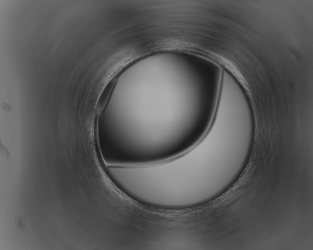 X0000091090946200708060956