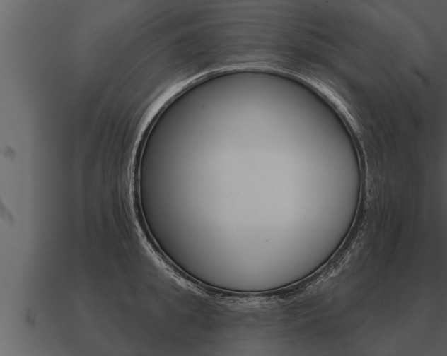 X0000091090949200708060956