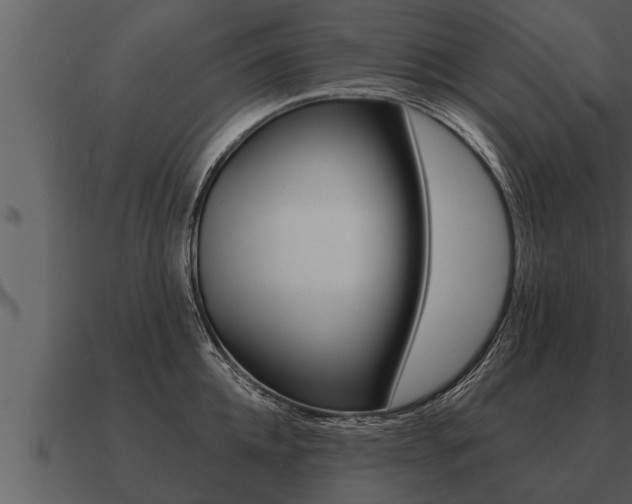 X0000091090952200708060956