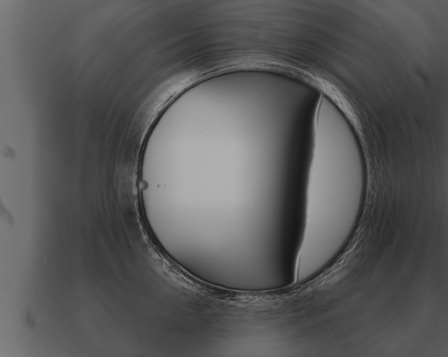 X0000091090954200708060956