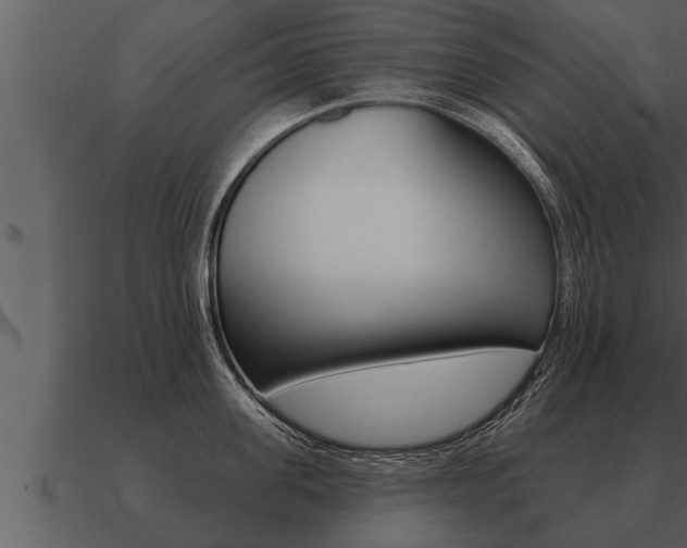 X0000091090955200708060956