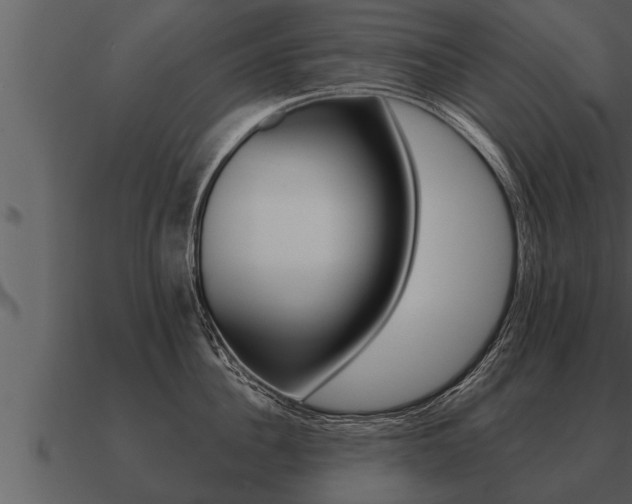 X0000091090956200708060956